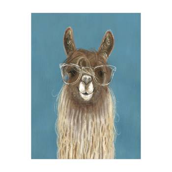 Lama mit Brille III