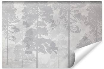 Fototapete WALD im Nebel Bäume Pflanzen