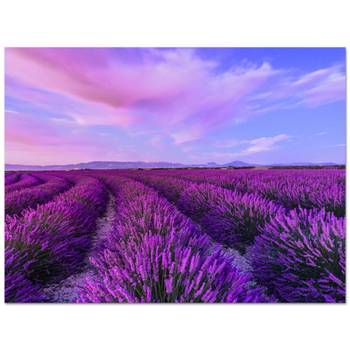 KÜCHENRÜCKWAND Lavendel