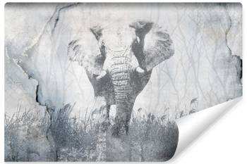 Papier Peint ELEPHANT Béton Abstraction