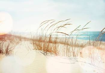 Panoramatische Tapete Dune XL