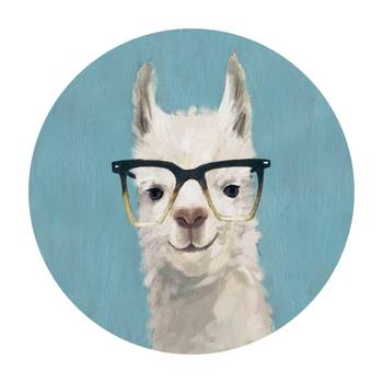 Lama mit Brille IV