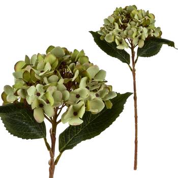 Kunstblume VIRIDIS