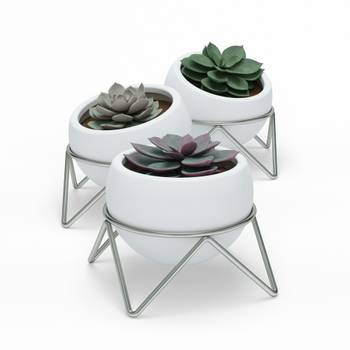 Lot de 3 pots Potsy