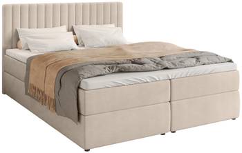 Boxspringbett DREAM