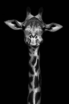 Tableau girafe haute en portrait