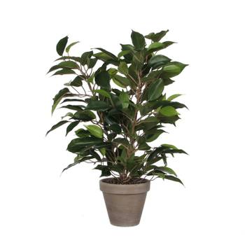 Kunstpflanze Ficus Natasja