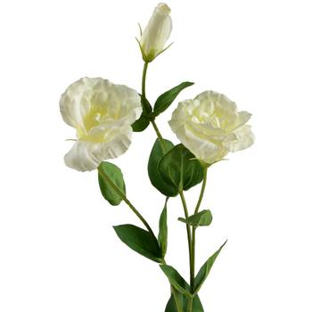 Kunstblume VIRIDIS