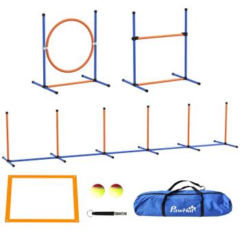 Hunde Agility Set 4er Set D07-043V00OG
