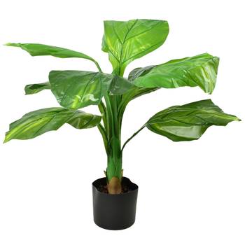 Kunstblume VIRIDIS