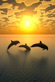 Tableau décoratif dauphins
