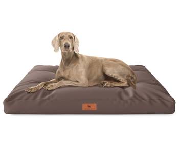 Hundekissen Gatsby