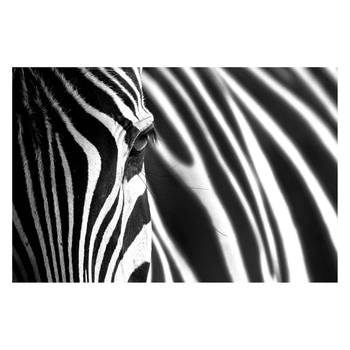 Impression sur toile Animal Stripes
