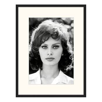 Bild Sophia Loren