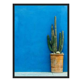 Bild Blue Wall with Cactus