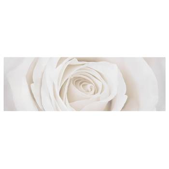 Afbeelding Pretty White Rose I