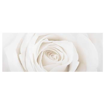 Afbeelding Pretty White Rose II