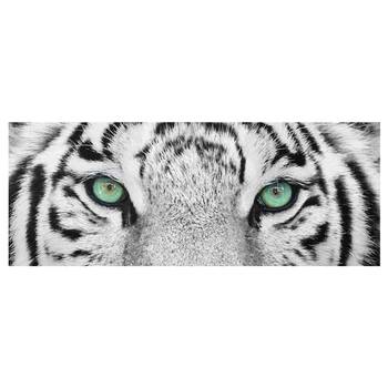 Bild Weißer Tiger