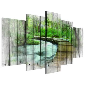 Acrylglas-afbeelding Forest of Secrets