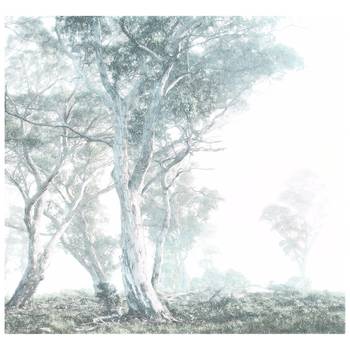 Fotobehang Magic Trees