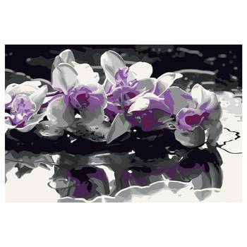 Schilderen op Nummer - Paarse Orchidee