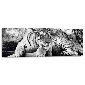 Wandbild Tigerblick