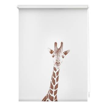 Klemmfix Rollo Giraffe