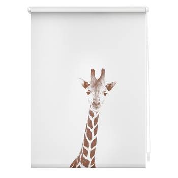 Store enrouleur sans perçage Girafe