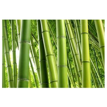 Vliesbehang Bamboo Trees