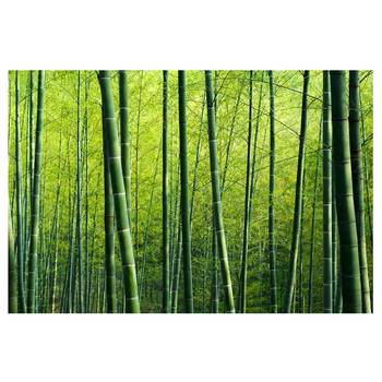 Vliesbehang Bamboo Forest