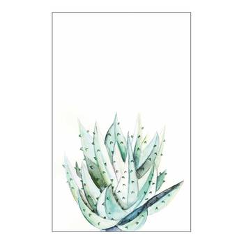 Wandbild Aloe Watercolor