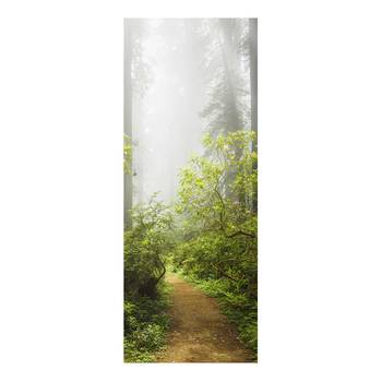 Quadro di vetro Foresta nella nebbia