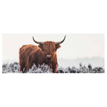 Glazen afbeelding Bison in de Highlands