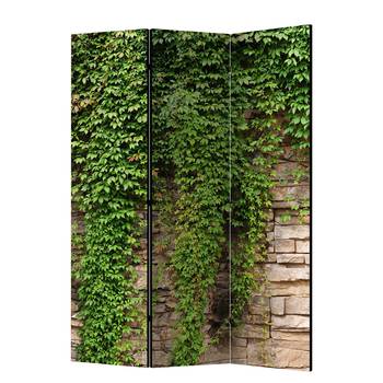 Paravent Ivy wall