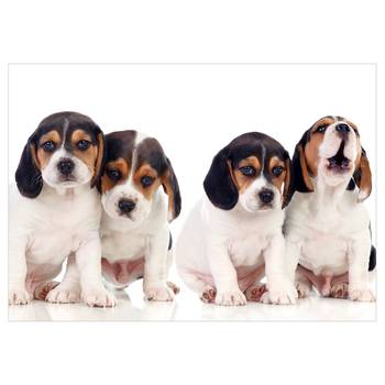 Vlies-fotobehang Sad Puppies