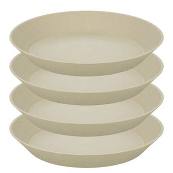 Dinerbord Connect Plate (set van 4)