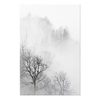 Afbeelding Trees In The Fog
