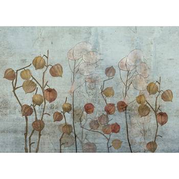 Fotobehang Painted Lunaria