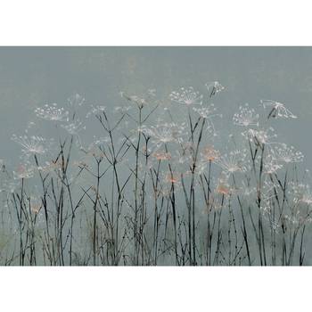 Fotobehang Garlic Flowers