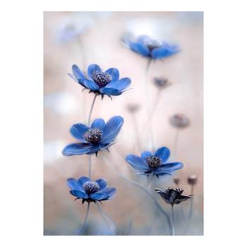 Quadro Blue Cosmos