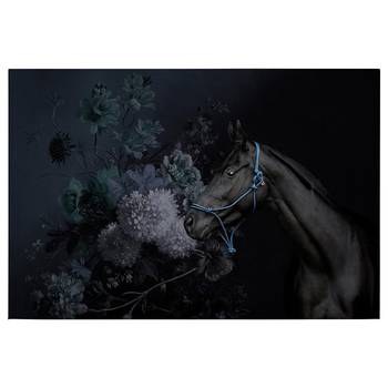 Canvas con fiori e cavallo