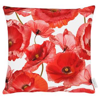 Coussin 7702