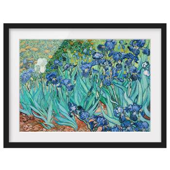 Bild Vincent van Gogh Iris II