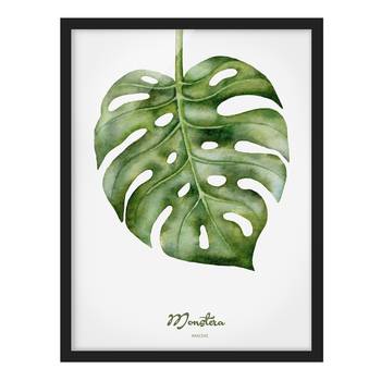 Poster e cornice con pianta Monstera