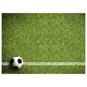 Tischset Fussball auf Rasen (12er-Set)