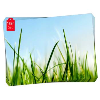 Placemats Gras & Lucht (set van 12)