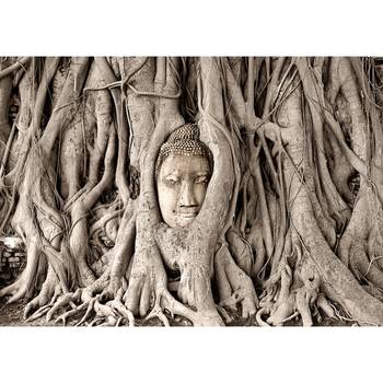 Vlies-fotobehang Buddhas Tree