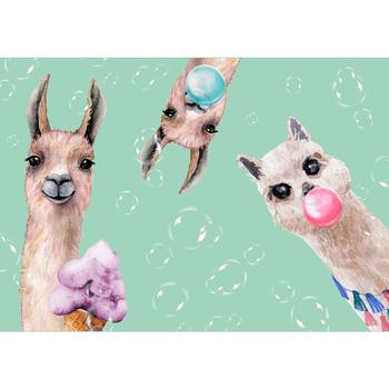 Vlies-fotobehang Crazy Llamas