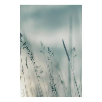 Wandbild Tall Grasses