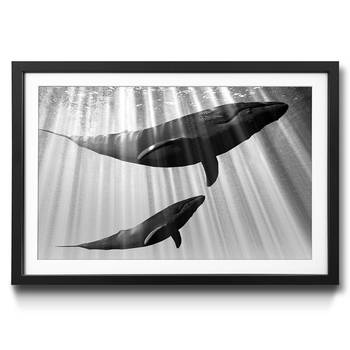 Gerahmtes Bild Whales